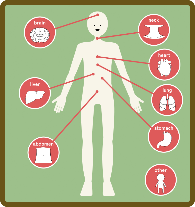 Body Map